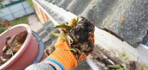 gutter cleaning san diego