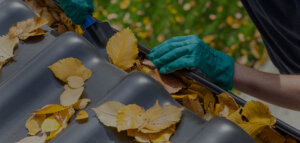 gutter cleaning near me