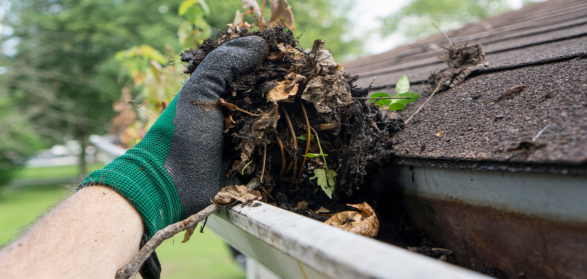 gutter cleaning near me